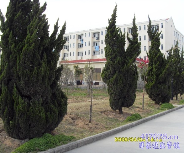 SDC12939.JPG