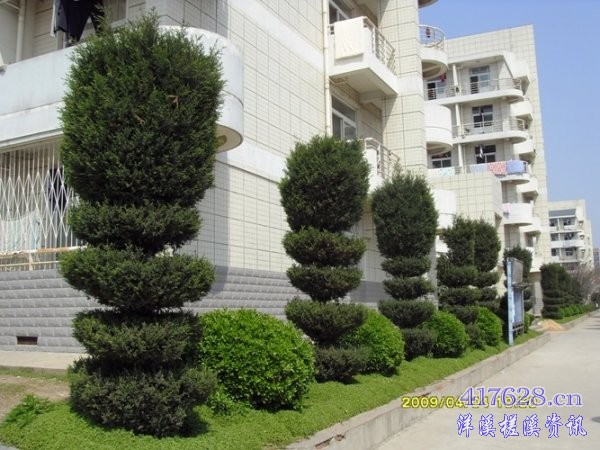 SDC12858.JPG