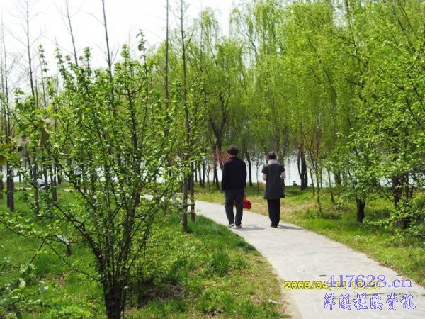 SDC12889.JPG