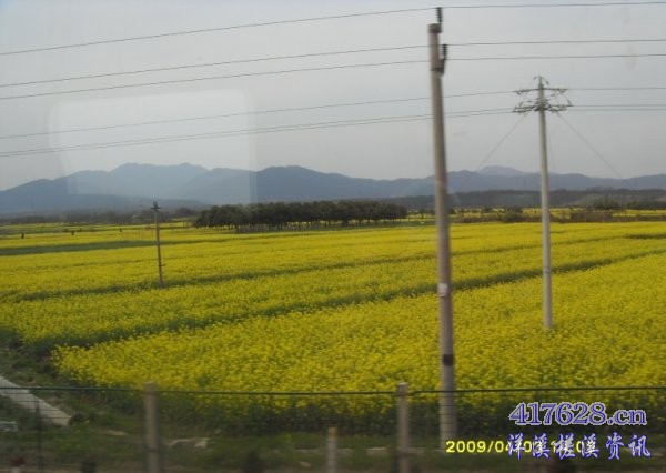 SDC12694.JPG