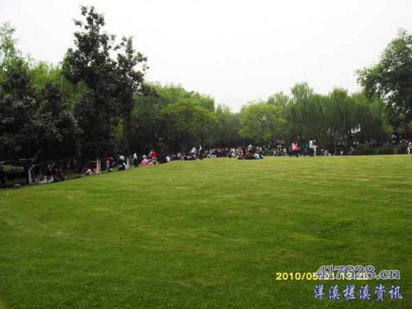 SDC13114.JPG
