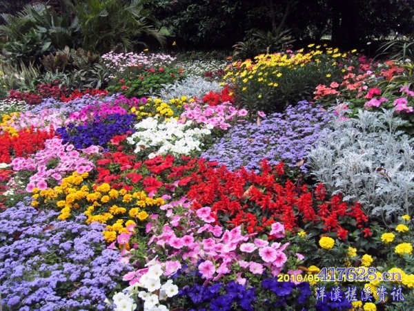 SDC13327.JPG