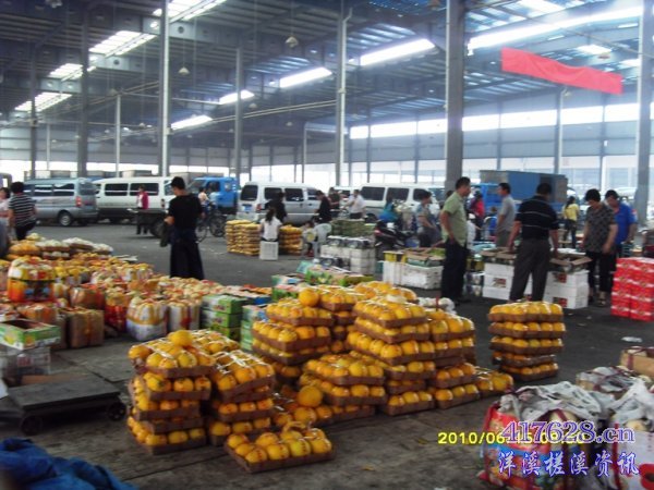 SDC13783.JPG
